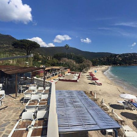Appartement 3 Pieces 6 Pers Avec Terrasse, Clim, Piscine Privee, Parking - Fr-1-251-81 Le Lavandou Zewnętrze zdjęcie
