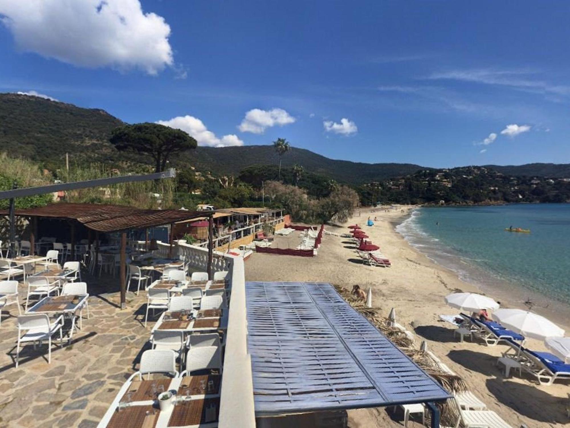 Appartement 3 Pieces 6 Pers Avec Terrasse, Clim, Piscine Privee, Parking - Fr-1-251-81 Le Lavandou Zewnętrze zdjęcie